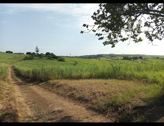11.17M² FARM FOR SALE IN FAIRBREEZE